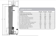 Termotanque Gas Sherman By Rheem Tpgp080 80lts Pie Tio Musa - Blanco