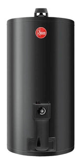 Termotanque A Gas Natural Rheem Aee Tgnc080rh Gris Oscuro 80l
