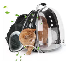 Mochila Transportadora Mascota Perro Gato Capsula Burbuja N Negro