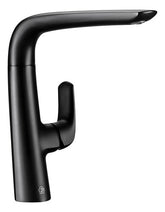 Griferia Para Cocina Fv Epuyen Monocomando Negro 411.04/l2 Color Negro Mate