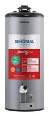 Termotanque Multigas Señorial Family Tszp1-85 Gris Bajo Consumo 85 L