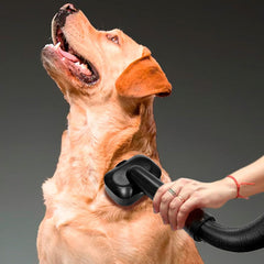 Aspiradora 3en1 Inalambrica Skye Liliana 210w Color Negro