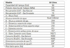 Termotanque Multi Gas De Colgar 50 Litros Saiar Rheem Tcg050 Color Blanco