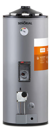 Termotanque Señorial Tgep-50 Family Dual Eléctrico Gas Gris 50 L