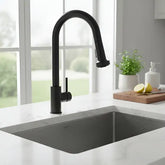 Griferia Monocomando Cocina Con Rociador Fv Huemul 412/n9-ng Negro Mate