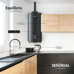 Termotanque Eléctrico Señorial Black 80l Negro 2000w Negro