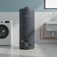 Termotanque A Gas Longvie T4110-n 110lts Conexión Superior Grafito
