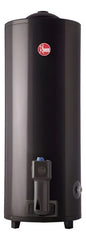 Termotanque Gas Natural Rheem Pie Tgnp120rh 120lts Tio Musa Gris Oscuro