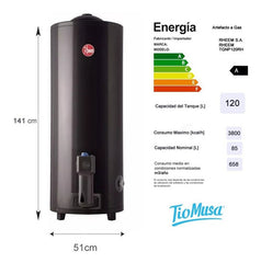 Termotanque Gas Natural Rheem Pie Tgnp120rh 120lts Tio Musa Gris Oscuro