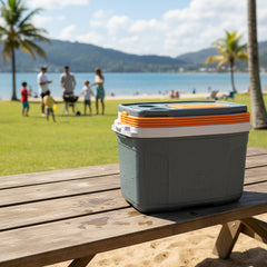 Heladera Conservadora Suv Termolar De 20l Gris Playa Picnic - Gris