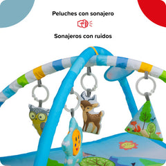 Gimnasio Interactivo Actividad Bebesit 5010-ch Paisajes Cts