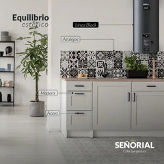 Termotanque Eléctrico Señorial Black 80l Negro 2000w Negro
