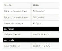 Termotanque Gas 118l Señorial Zafiro Multigas 175l/h Blanco