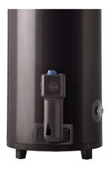 Termotanque Gas Natural Rheem Pie Tgnp120rh 120lts Tio Musa Gris Oscuro