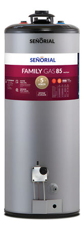Termotanque Multigas Señorial Family Tszp1-85 Gris Bajo Consumo 85 L