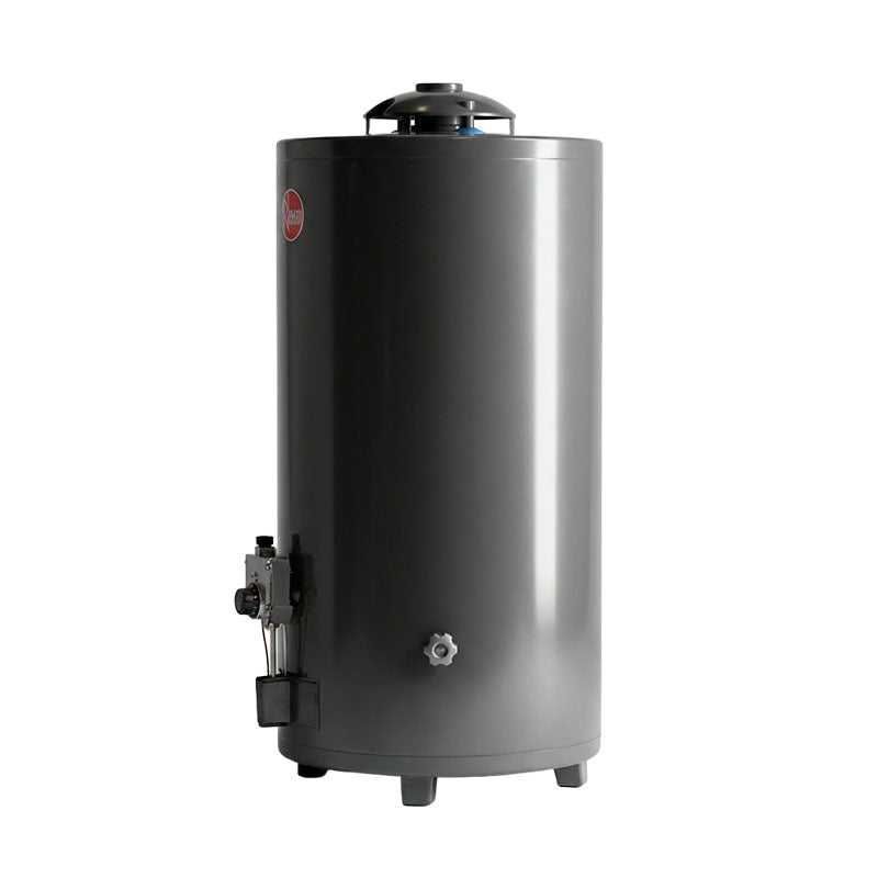 Termotanque A Gas Natural Rheem Aee Tgnp080rh Gris 80l Gris Oscuro