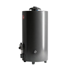 Termotanque A Gas Natural Rheem Aee Tgnp080rh Gris 80l Gris Oscuro