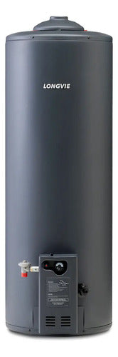 Termotanque A Gas Longvie T4110-n 110lts Conexión Superior Grafito