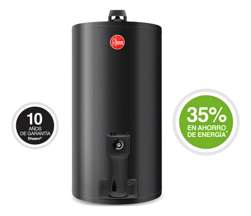 Termotanque A Gas Natural Rheem Aee Tgnc080rh Gris Oscuro 80l