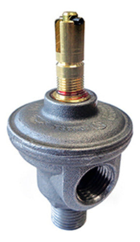 Calefactor Multigas T Balanceado Longvie 5000 Tbu Eba5u Cs Gris