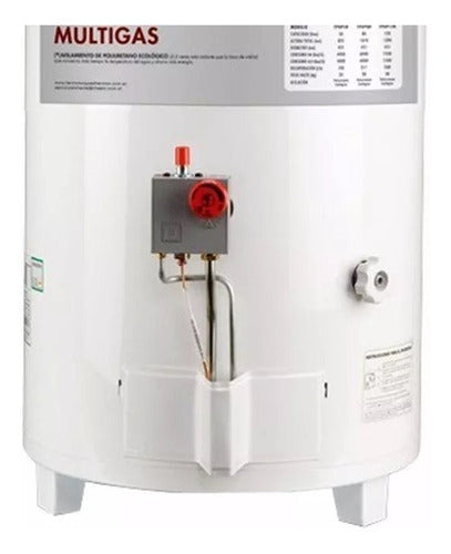 Termotanque Gas Sherman By Rheem Tpgp080 80lts Pie Tio Musa - Blanco