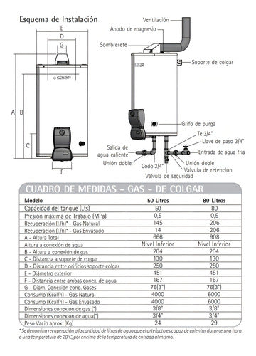Termotanque Multi Gas De Colgar 50 Litros Saiar Rheem Tcg050 Color Blanco