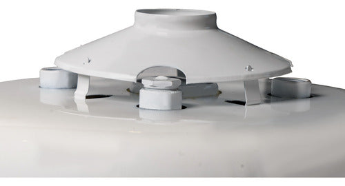 Termotanque A Gas De Carga Superior Ecotermo Populi 45lts Blanco