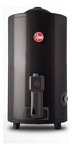Termotanque A Gas Natural Rheem Aee Tgnp080rh Gris 80l - Mm Color Gris Oscuro