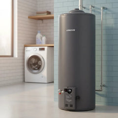 Termotanque A Gas Longvie T4110-n 110lts Conexión Superior Grafito