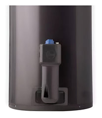 Termotanque A Gas Natural Rheem Aee Tgnc080rh Gris Oscuro 80l