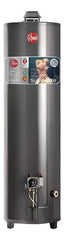 Termotanque Rheem Alta Potencia Apg160 Gas Natural 160lts Gris