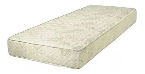 Colchon De Espuma De 1 Plaza Cannon De Lujo De 20 Cm Varios