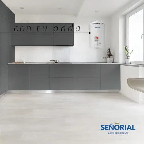 Termotanque Eléctrico Señorial Tesz-65 Zafiro Blanco 50 Litros Superior