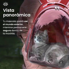 Mochila Transportadora Mascota Perro Gato Capsula Burbuja R Rojo