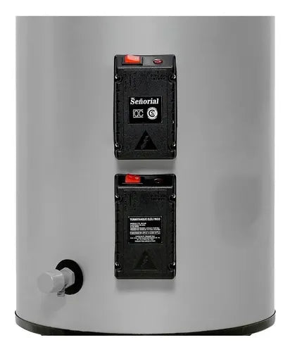 Termotanque Electrico Señorial Family 90l Alta Recuperacionc Gris Plata