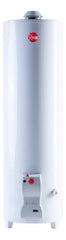 Termotanque De Pie Multigas Functional Rheem Tpg150gnrh 150l Blanco