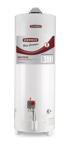 Termotanque Gas Sherman By Rheem Tpgp080 80lts Pie Tio Musa - Blanco