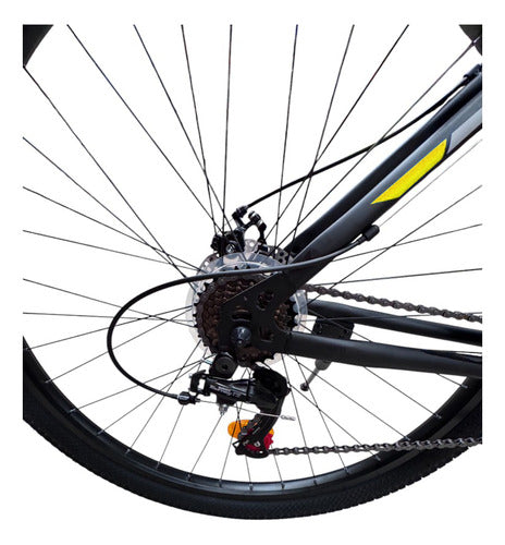 Bicicleta Mtb Randers Thunder Bke-n-fe29-lb R29 21 Vel Negro L