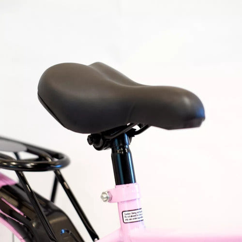 Bicicleta Infantil Randers Rodado 20 Bke221f Rosa Canasto Cs Rosa 20