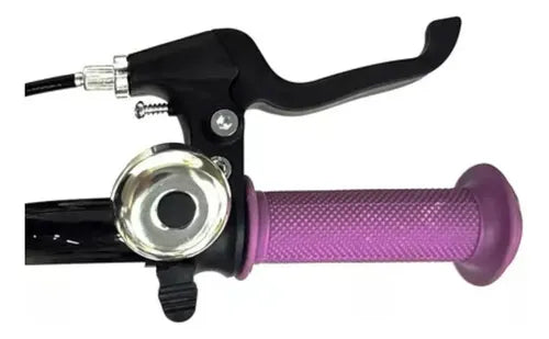 Bicicleta Infantil Randers Bke-161-e Lila Rodado 16 Rueditas Lila 16