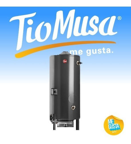 Termotanque A Gas De Pie Rheem Linea Comercial 300 Litros Negro