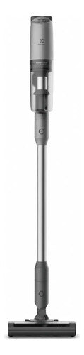 Aspiradora Inalámbrica Vertical Electrolux Ptec100 Gris