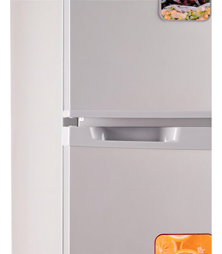Heladera Con Freezer Ciclica 300l Telefunken Hd300 Silver Color Plateado