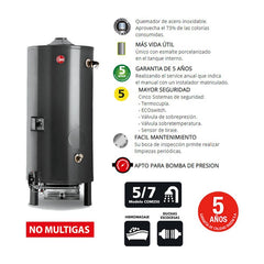 Termotanque Rheem A Gas Linea Comercial 250lts Tio Musa Gris Oscuro