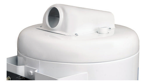 Termotanque A Gas Ecotermo Ep53 Alta Recuperación 51lt C/sup Color Blanco