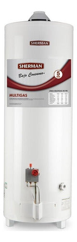 Termotanque A Gas 120 Lts Sherman Tpgp120msh13 Superior Apoy Color Blanco