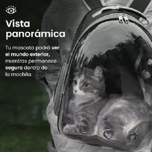 Mochila Transportadora Mascota Perro Gato Capsula Burbuja N Negro