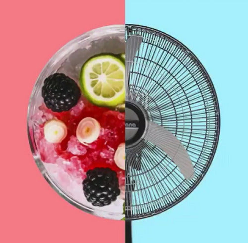 Ventilador De Pie Liliana Vp25m Negro 2 Palas Plateado 25 Diámetro 25   Material De Las Aspas Metal