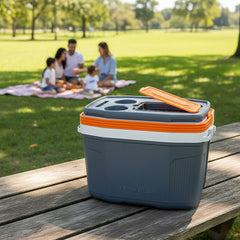 Heladera Conservadora Suv Termolar De 20l Gris Playa Picnic - Gris