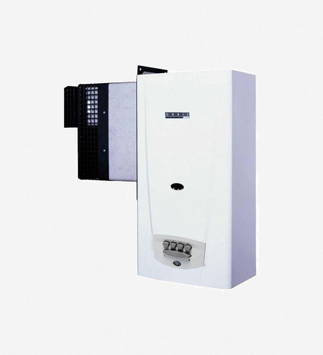 Calefón A Gas Gn Orbis 315ido Blanco
